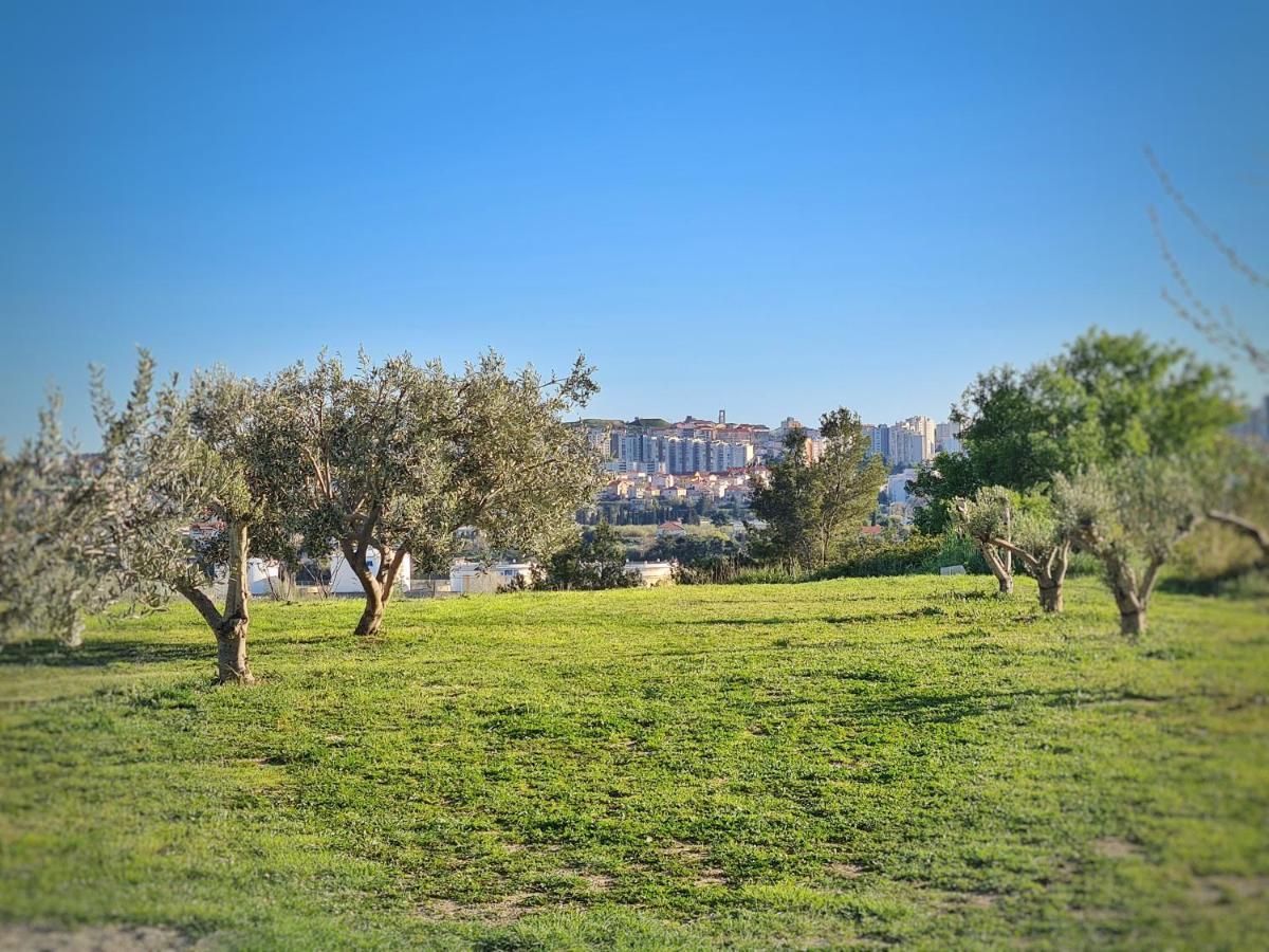Luxury Apartment Salona מראה חיצוני תמונה